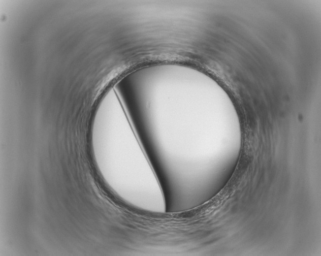 X0000086990111200704161203
