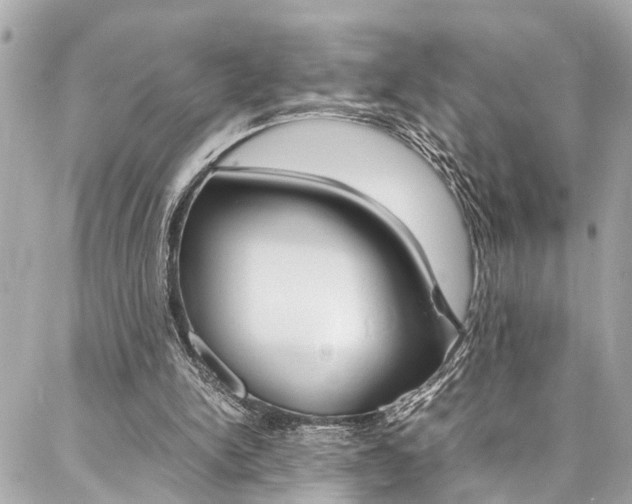 X0000086990150200704161202