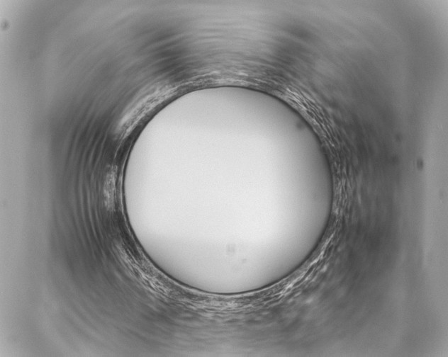 X0000086990194200704161202