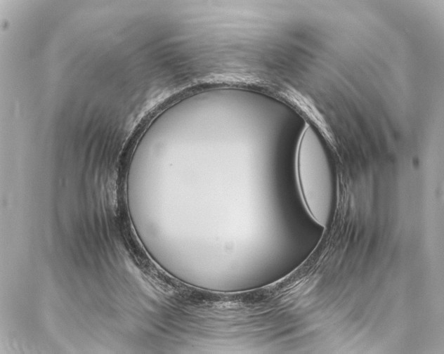 X0000086990204200704161202