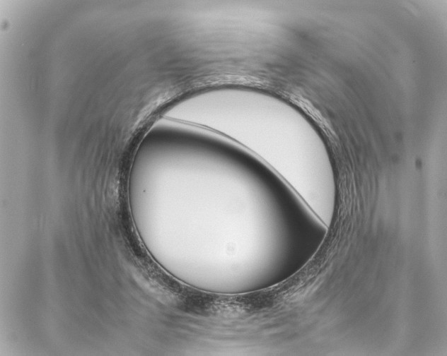 X0000086990207200704161202