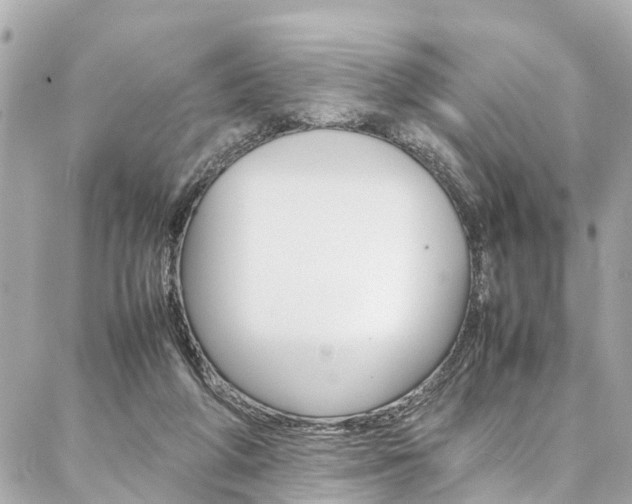X0000086990210200704161202