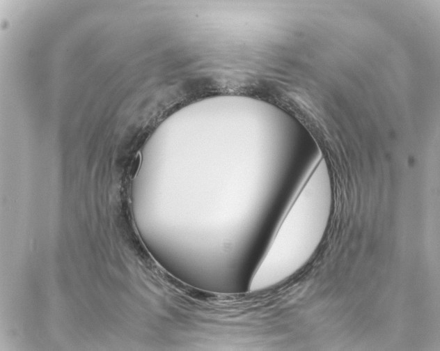 X0000086990221200704161201