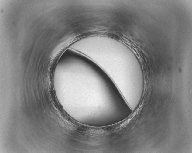 X0000086990245200704161200