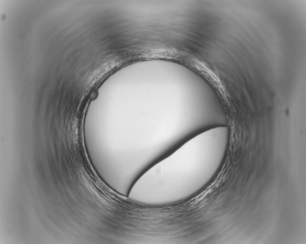 X0000086990298200704161200