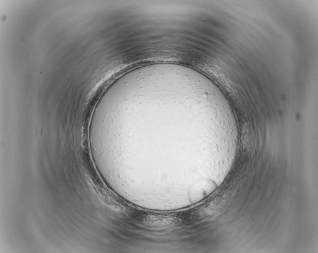 X0000086990351200704161159