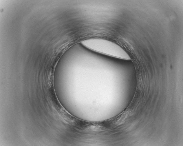 X0000086990364200704161159