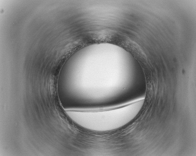 X0000086990416200704161158