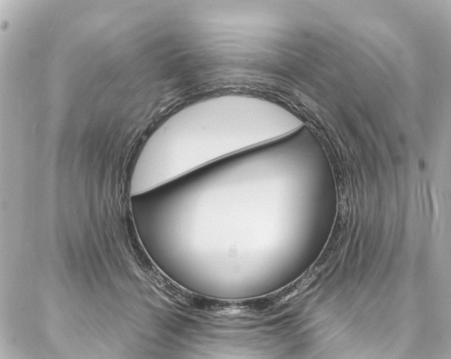 X0000086990460200704161157
