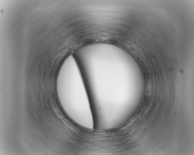 X0000086990468200704161158