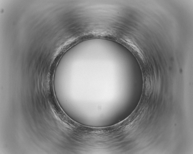 X0000086990492200704161157