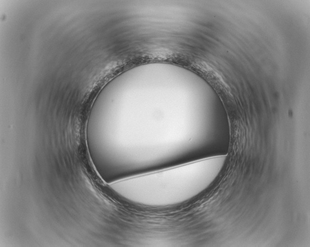 X0000086990496200704161157