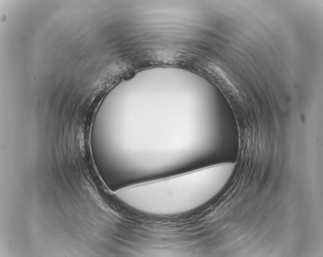 X0000086990500200704161157