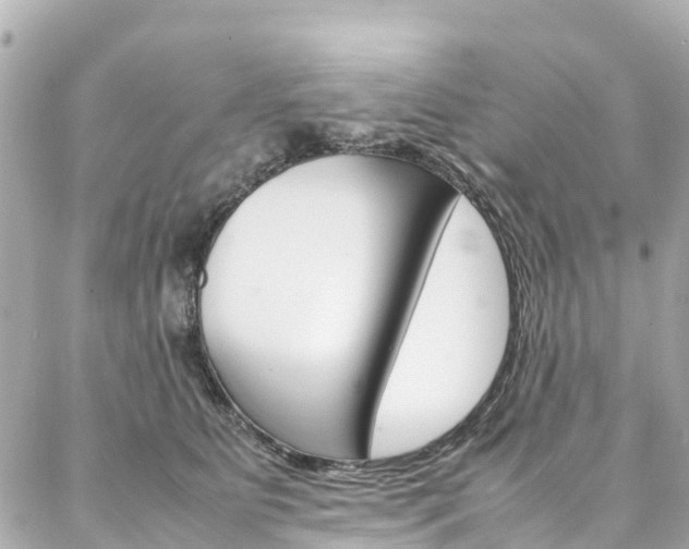 X0000086990515200704161156