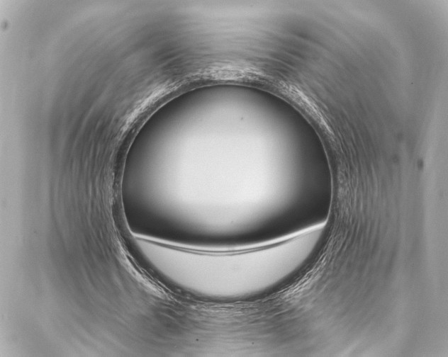X0000086990530200704161155