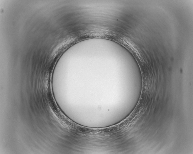 X0000086990586200704161155