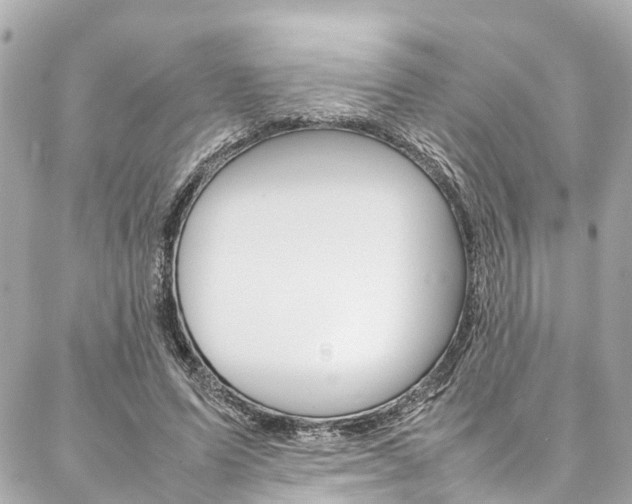 X0000086990591200704161155