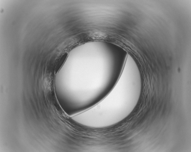 X0000086990604200704161155