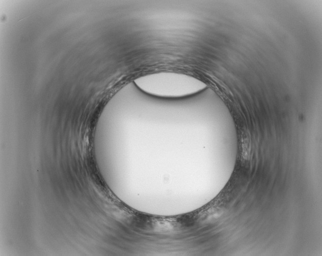 X0000086990618200704161155