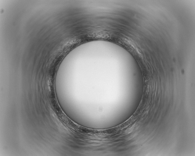 X0000086990643200704161154