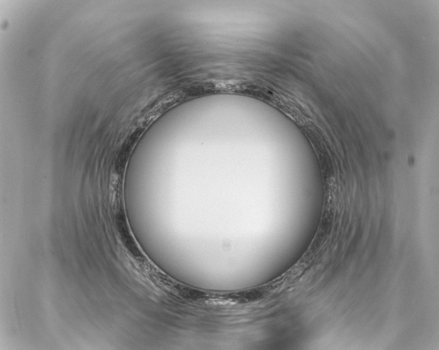 X0000086990650200704161154