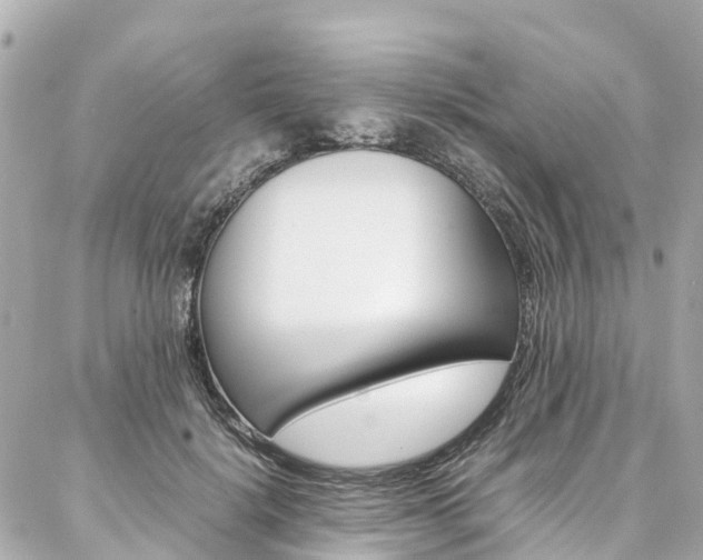 X0000086990652200704161154