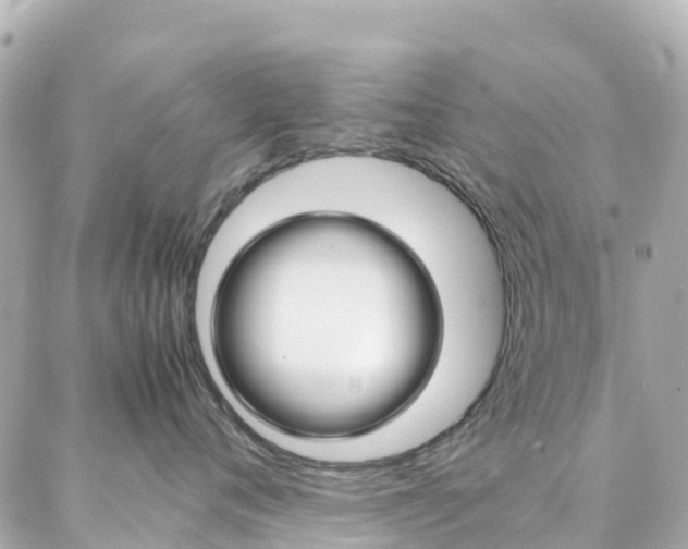 X0000086990720200704161153