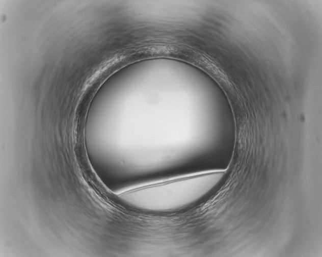 X0000086990722200704161152