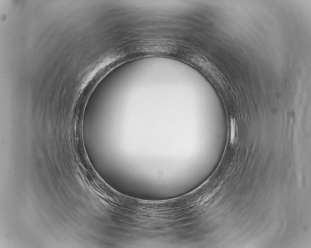X0000086990723200704161152