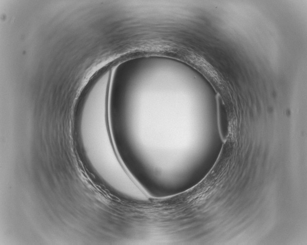 X0000086990724200704161152