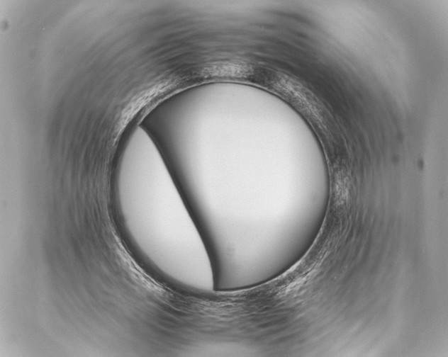 X0000086990725200704161152
