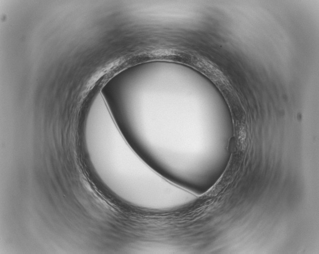 X0000086990732200704161152