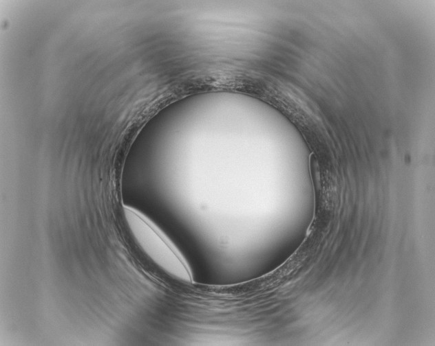 X0000086990748200704161153