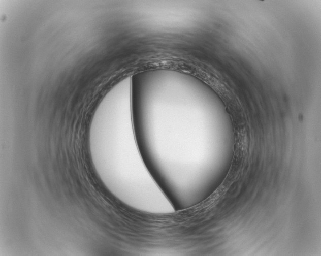X0000086990754200704161153