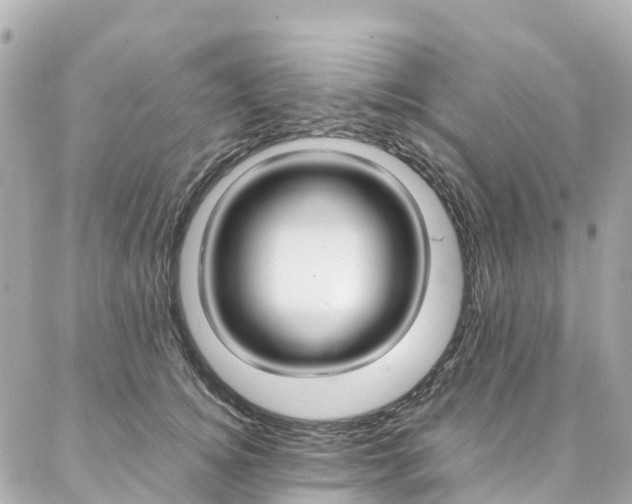 X0000086990756200704161153