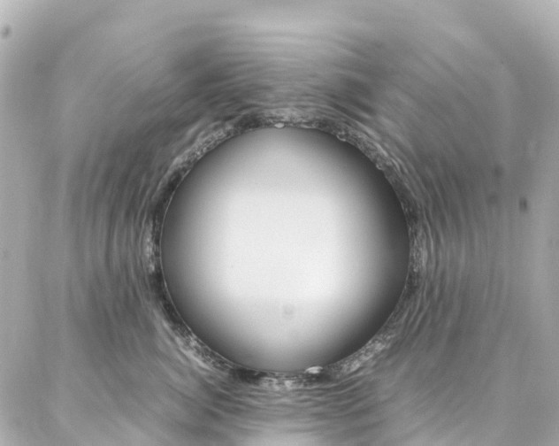 X0000086990764200704161153