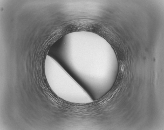 X0000086990771200704161152