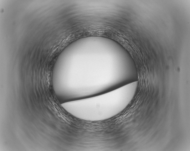 X0000086990772200704161152