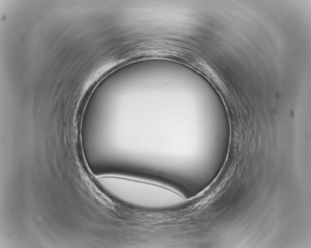 X0000086990787200704161152