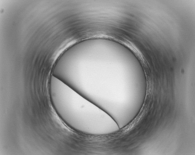 X0000086990806200704161152