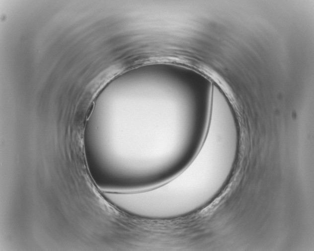 X0000086990809200704161151