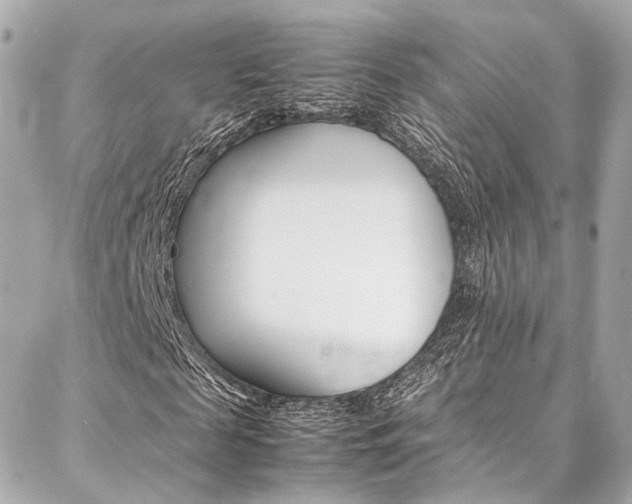 X0000086990817200704161151