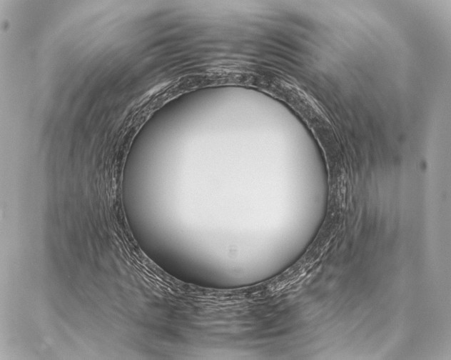 X0000086990821200704161151