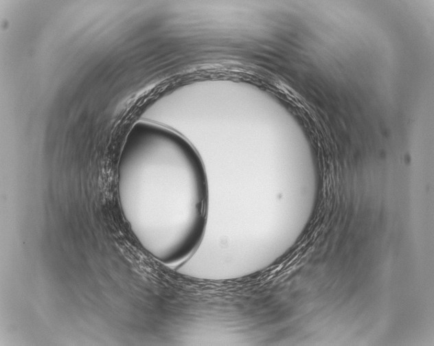 X0000086990822200704161151