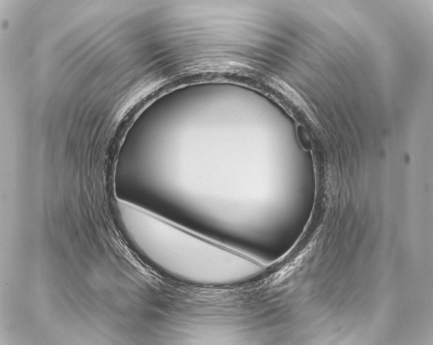 X0000086990826200704161151