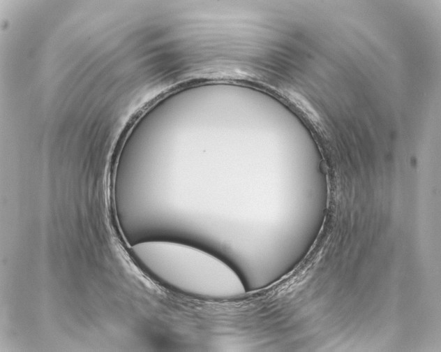 X0000086990840200704161151