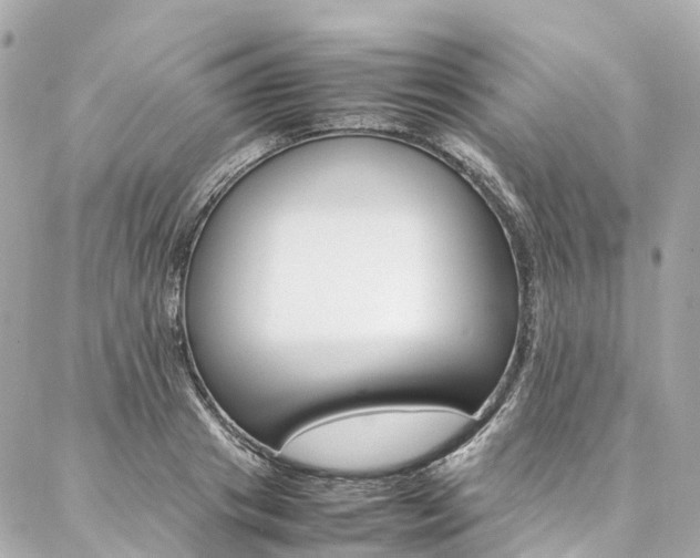 X0000086990841200704161151