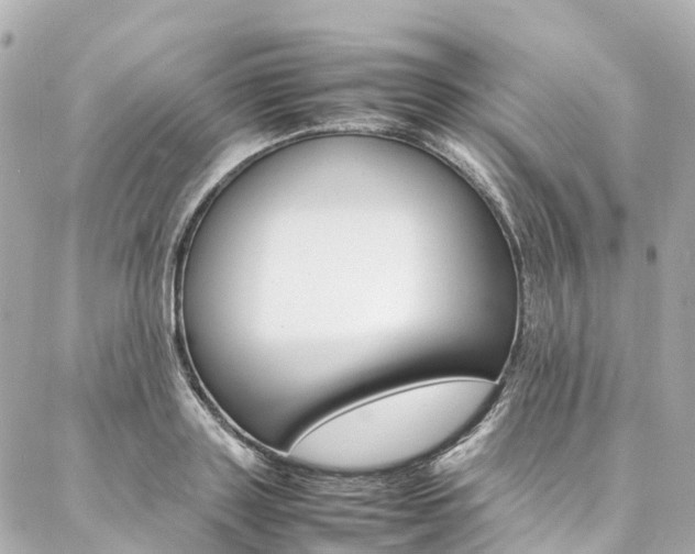 X0000086990843200704161151