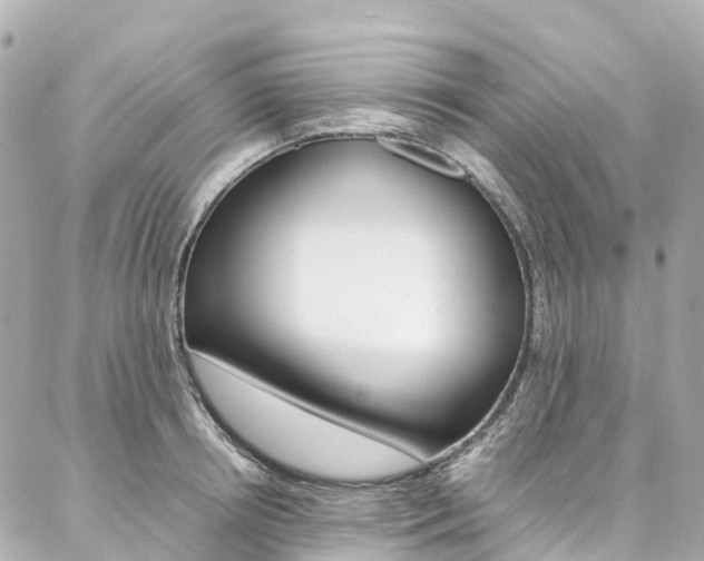 X0000086990850200704161151