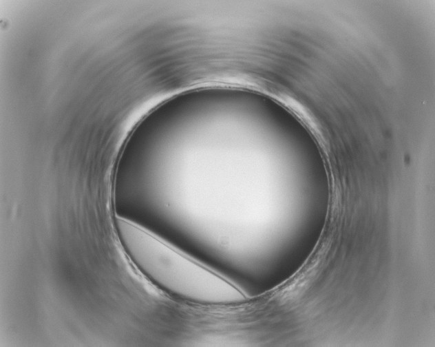 X0000086990862200704161151